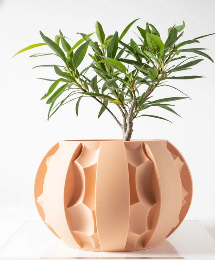 Der Erna – Skulpturale Eleganz trifft 3D-Pflanzenkultur