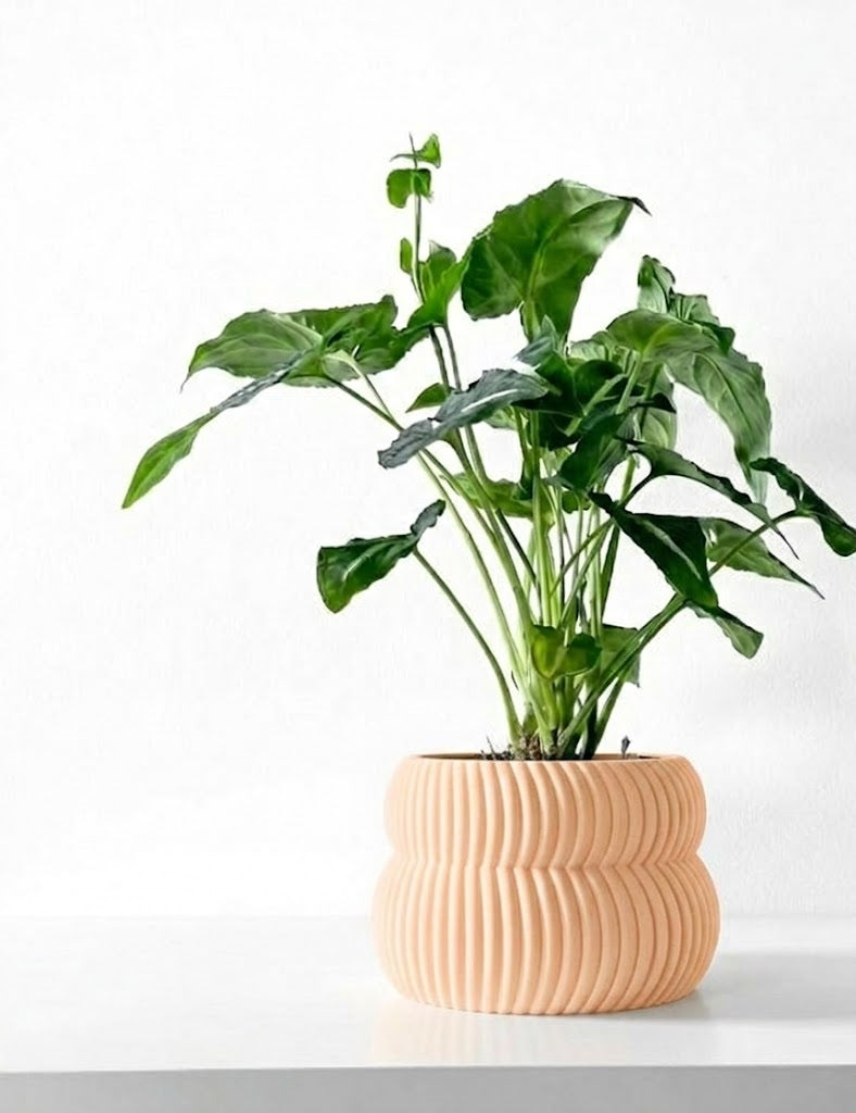 Quarn Pflanztopf – Weiche Konturen, starke Präsenz