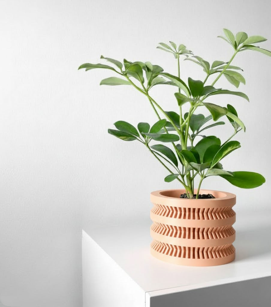 Civen Pflanztopf – Architektur in Pflanzenform