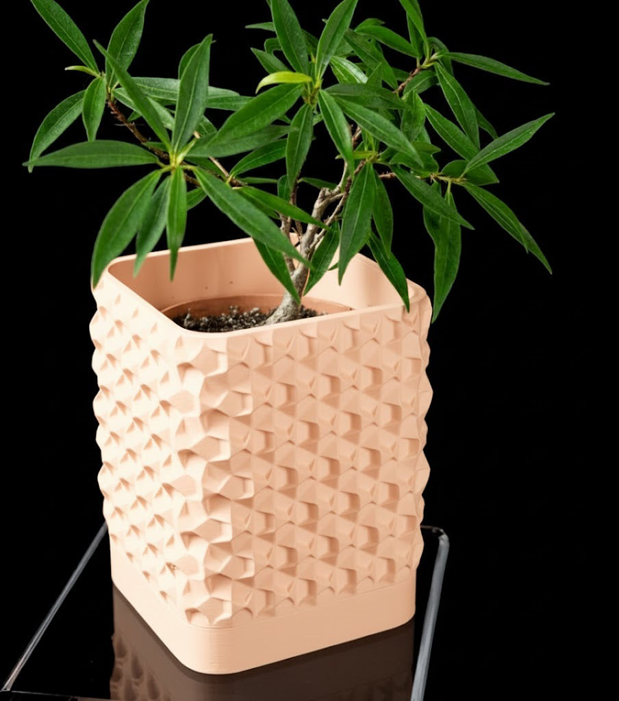 Rovi Square Planter Pot – Geometrie trifft Natur