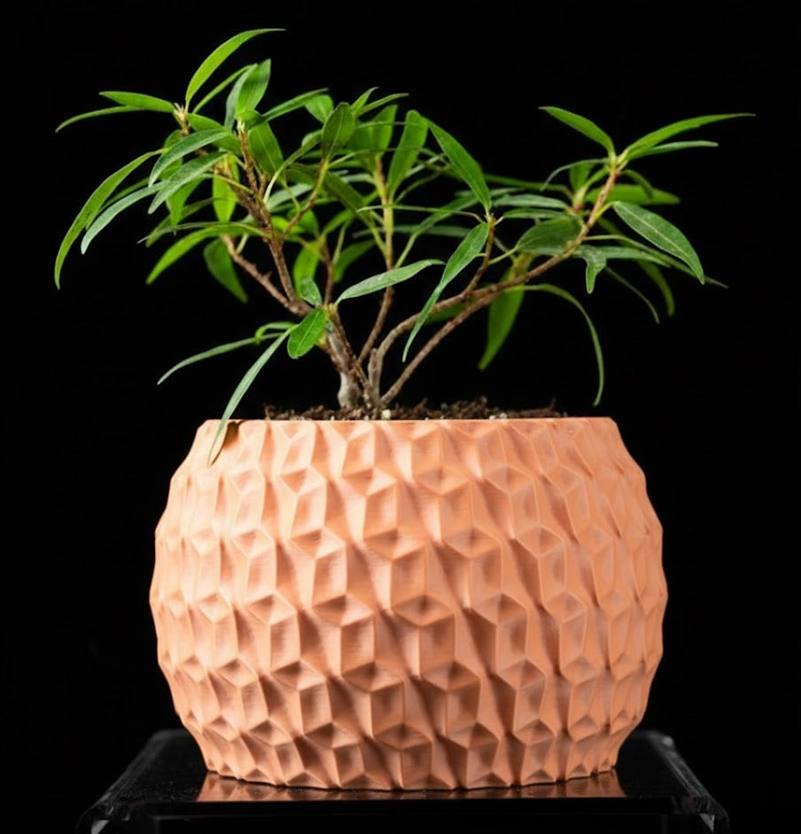 Hexa Planter Pot – 3D-Pflanztopf mit Facettenschliff