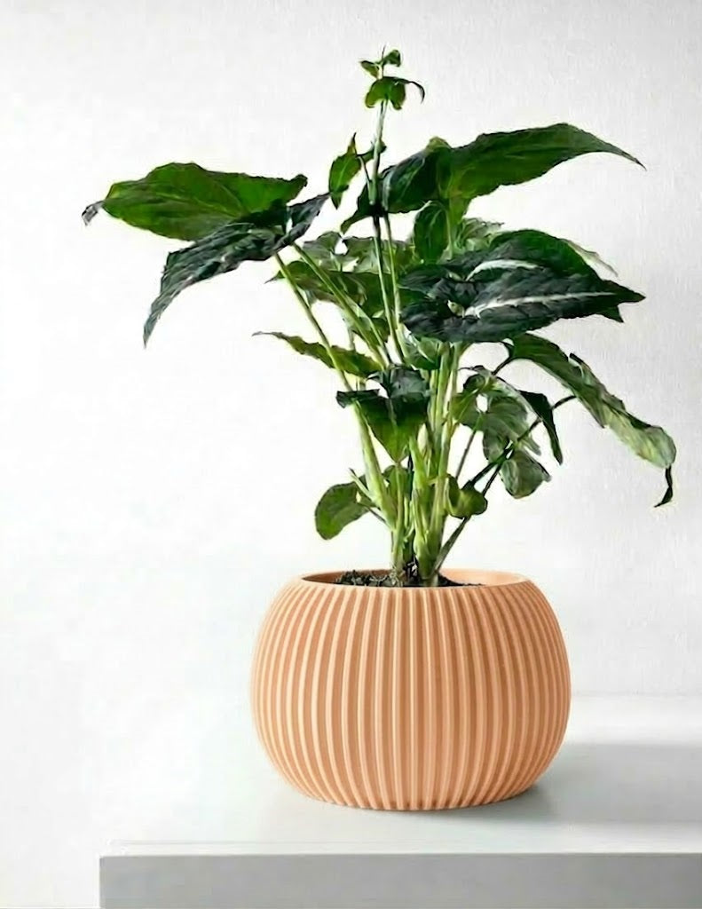 Surno Pflanztopf – Klassik neu definiert