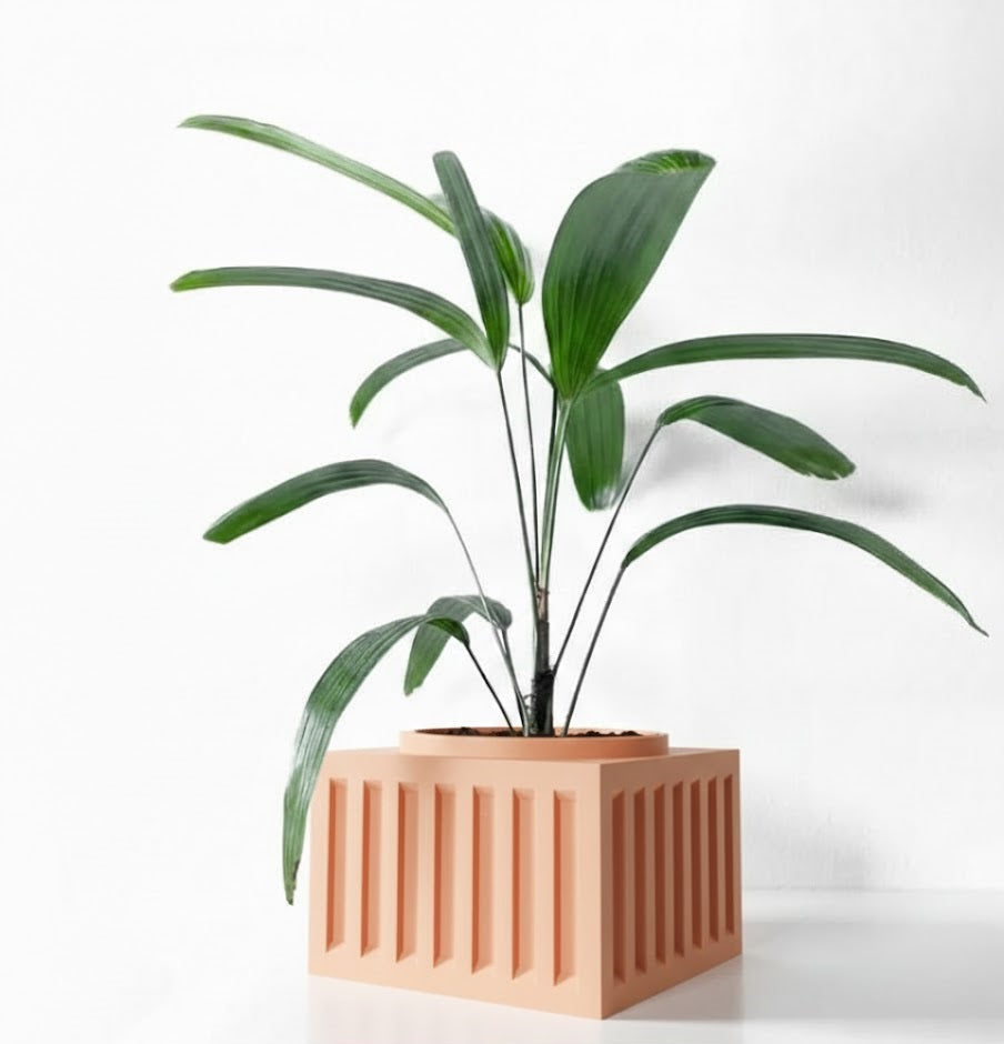Larix Pflanztopf – Architektonisches Statement mit Kante