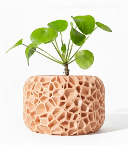 Der Vori – Organischer 3D-Pflanztopf im Voronoi-Look