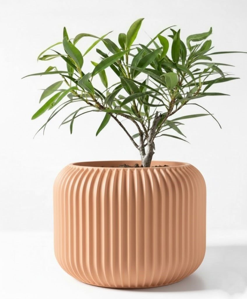 Der Unis – Zeitloser 3D-Pflanztopf mit rhythmischer Kontur