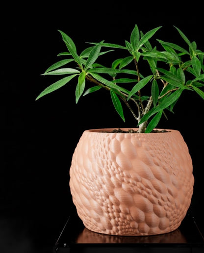 Gato Pflanztopf – Organisches 3D-Design für moderne Wohnräume