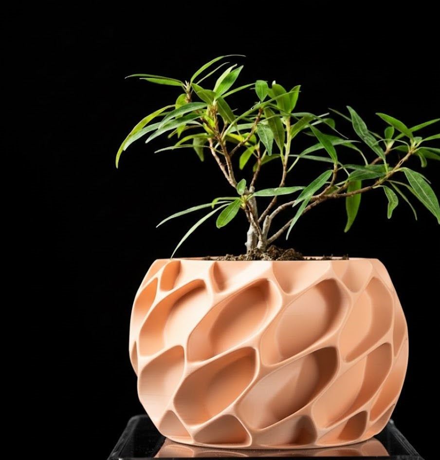 Exo Planter – Der organisch-dynamische 3D-Pflanztopf