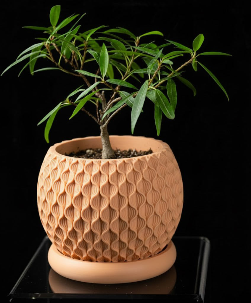 Bloom Planter – Der blüteninspirierte 3D-Pflanztopf mit organischer Struktur