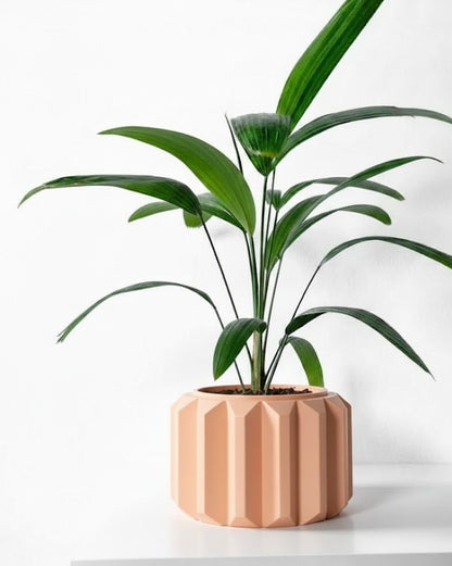 Ferix Pflanztopf – Klare Konturen, markantes Design