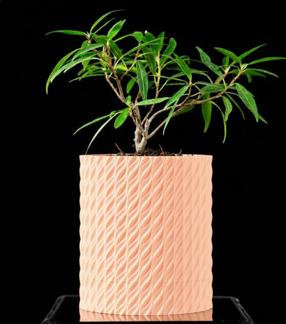 Flow Planter – Der spiraldynamische 3D-Pflanztopf
