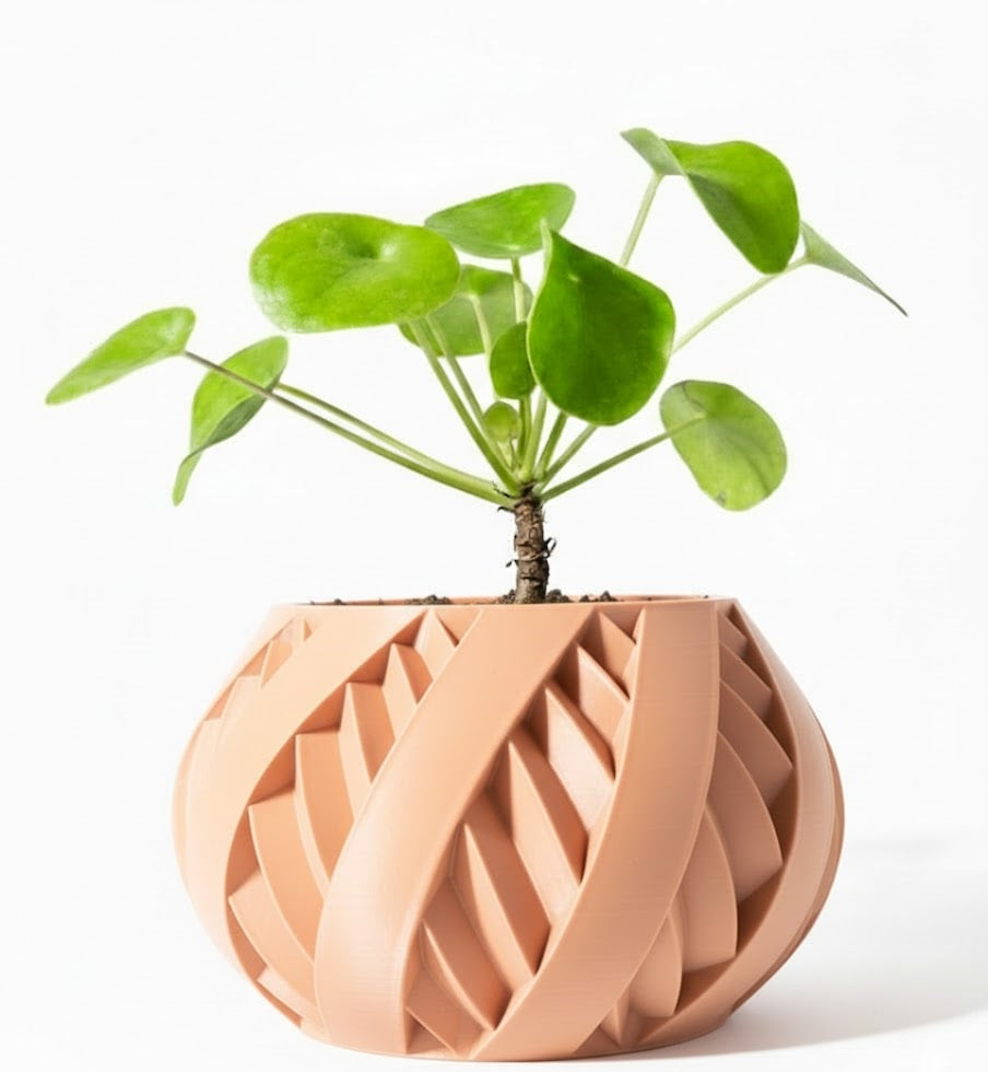 Der Silvo – 3D-Pflanztopf mit spiralförmiger Dynamik