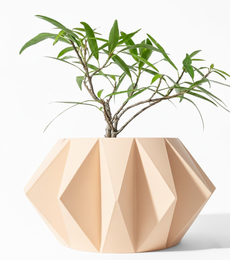 Der Koni – Geometrischer 3D-Pflanztopf mit markanter Facettenstruktur