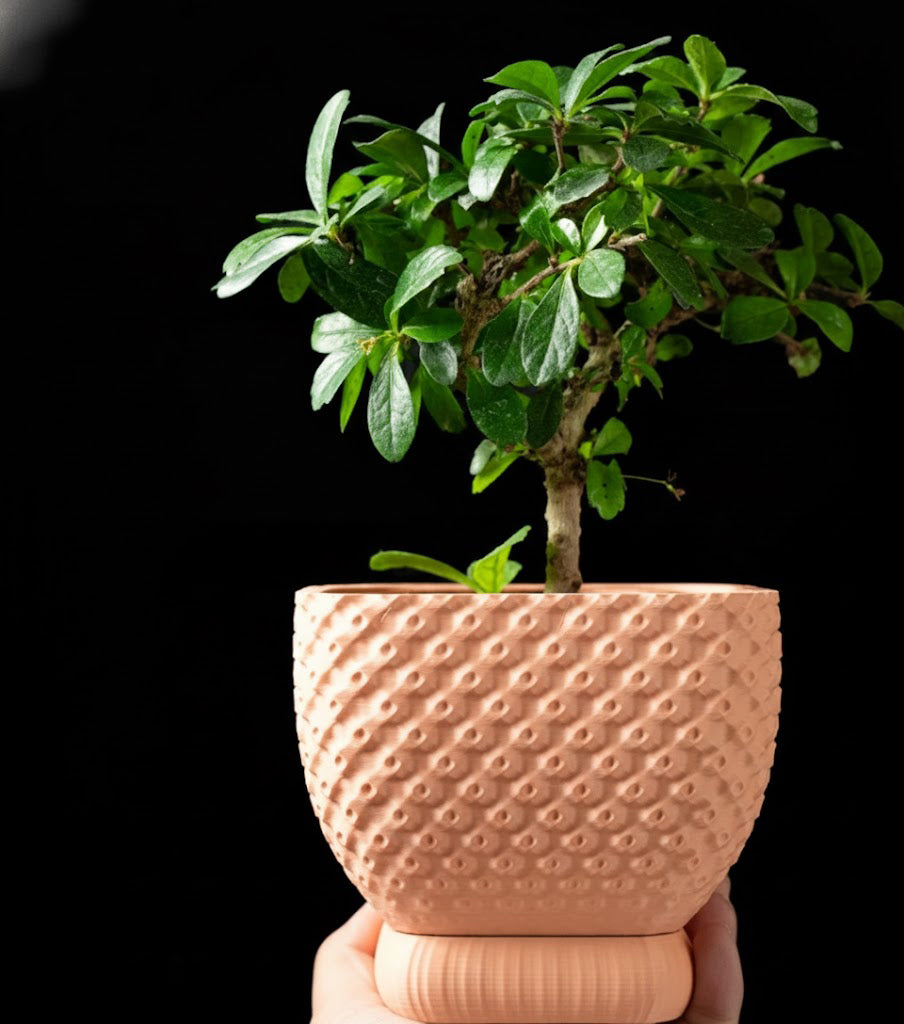 Connect Planter Pot – Strukturierte Eleganz im 3D-Design