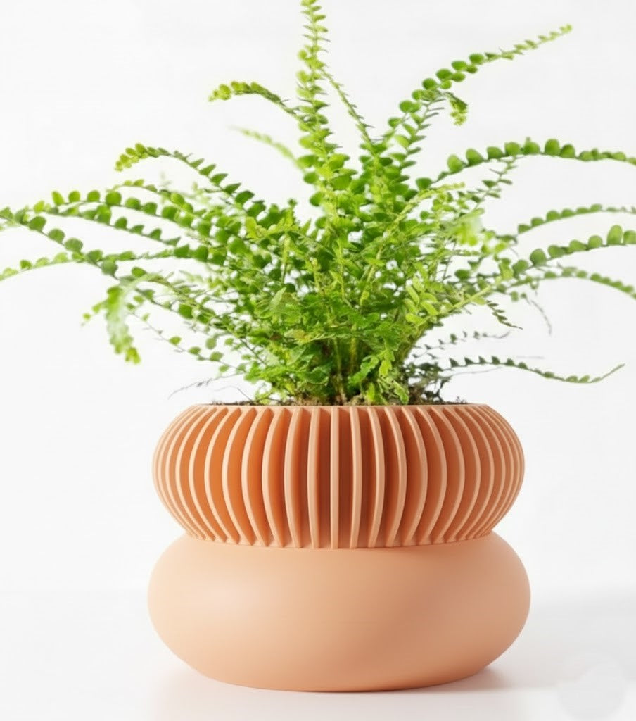 Der Elomi – 3D-Pflanztopf mit dynamischer Zweiteilung und skulpturaler Eleganz