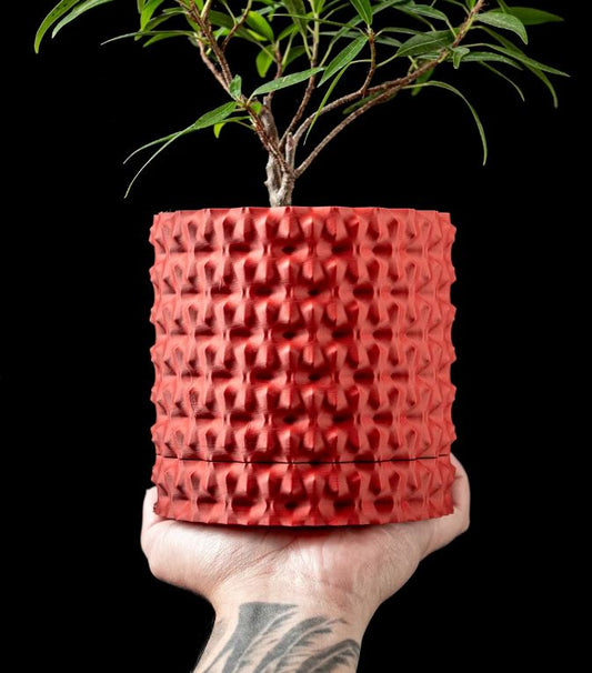 Robuster – Der markante 3D-Pflanztopf für starke Akzente