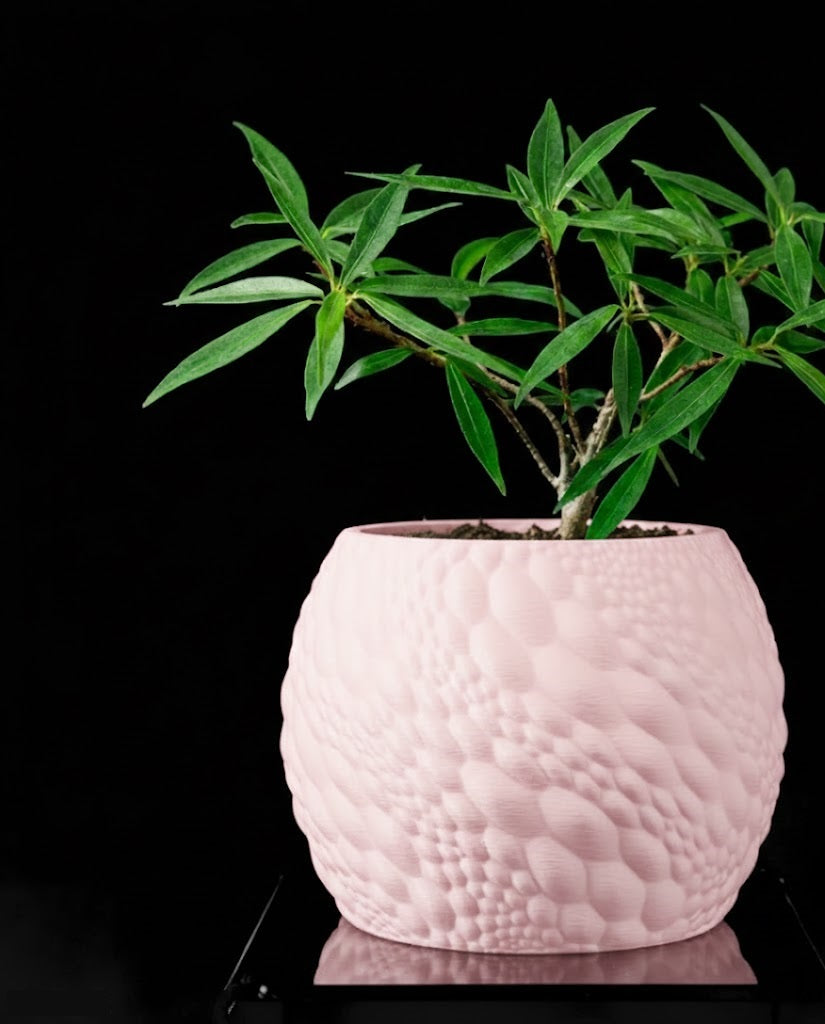 Gato Pflanztopf – Organisches 3D-Design für moderne Wohnräume