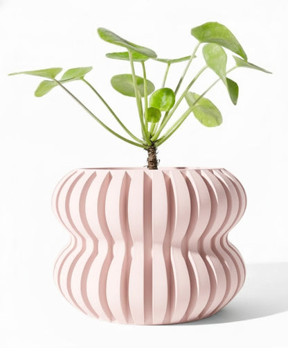 Der Daso – rhythmische Struktur im 3D-Design