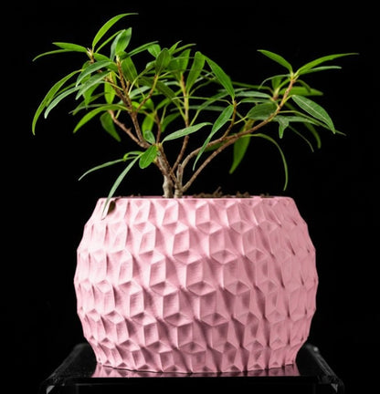 Hexa Planter Pot – 3D-Pflanztopf mit Facettenschliff