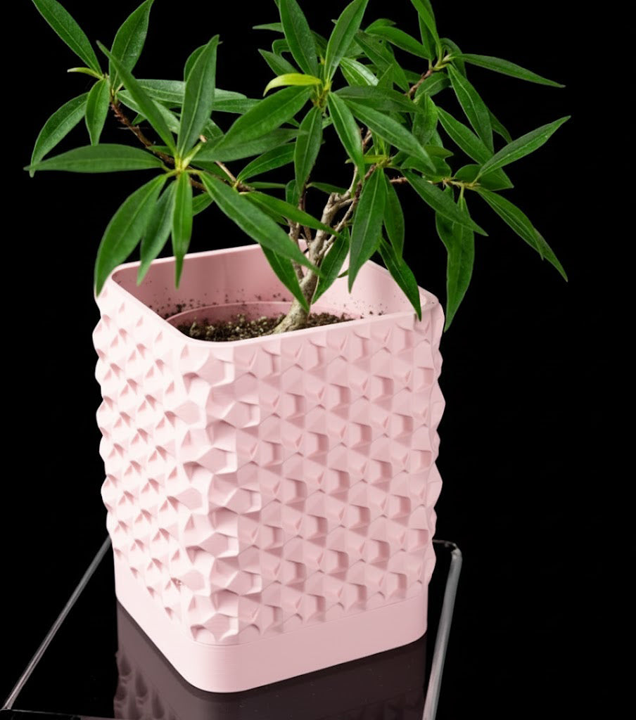 Rovi Square Planter Pot – Geometrie trifft Natur