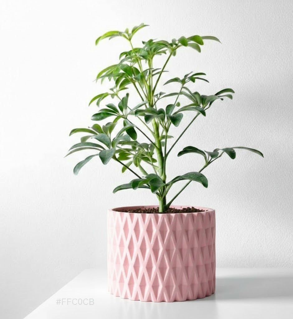 Grivan Pflanztopf – Geometrie trifft Eleganz