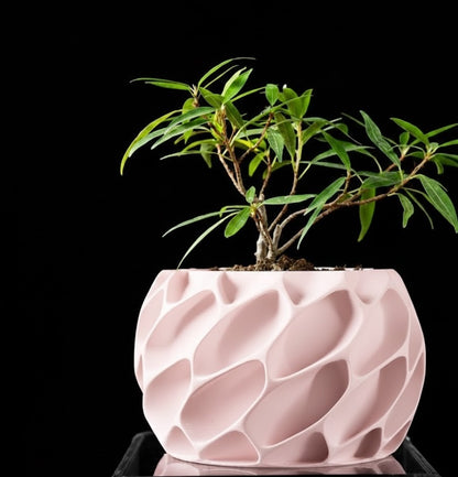 Exo Planter – Der organisch-dynamische 3D-Pflanztopf