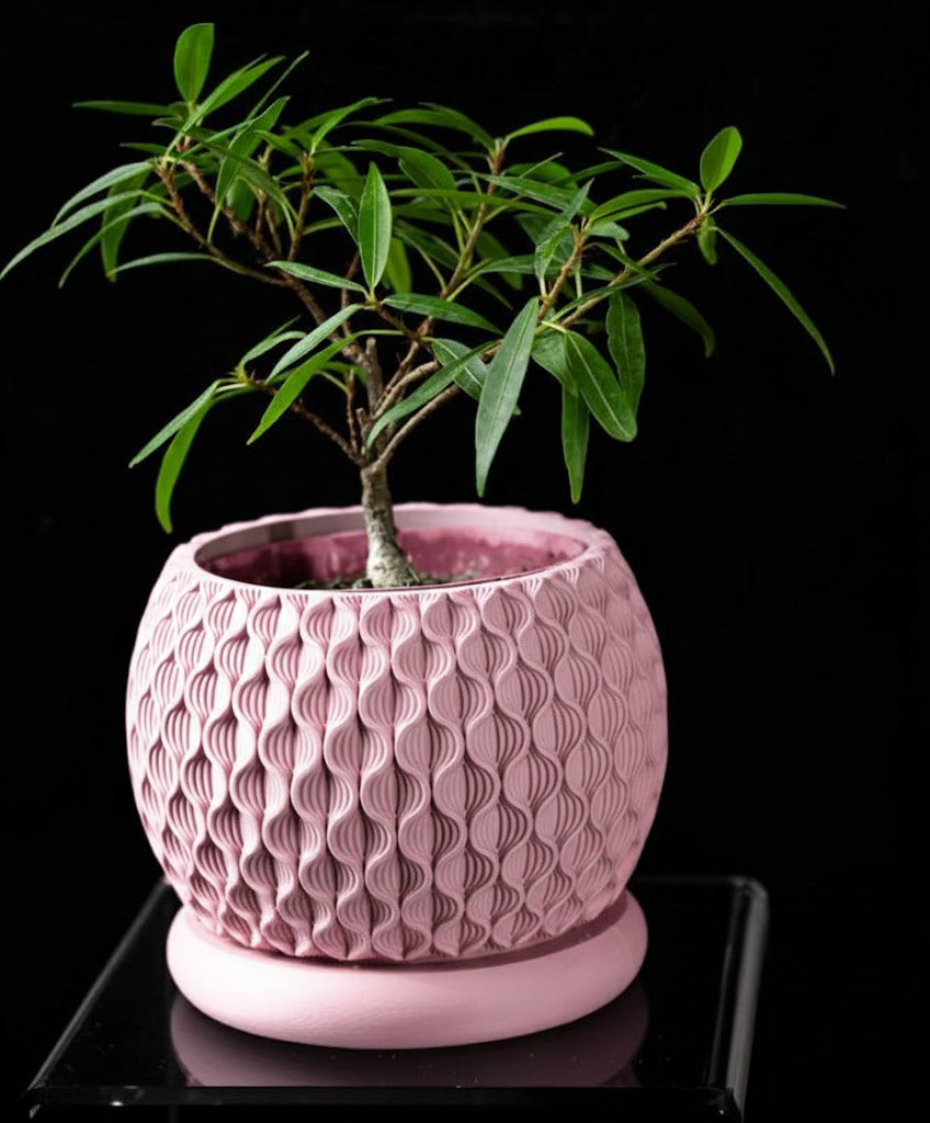 Bloom Planter – Der blüteninspirierte 3D-Pflanztopf mit organischer Struktur