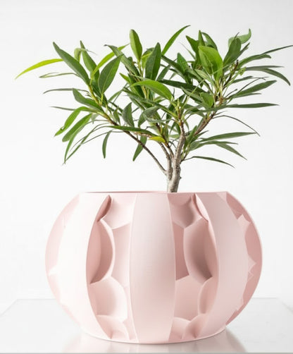 Der Erna – Skulpturale Eleganz trifft 3D-Pflanzenkultur