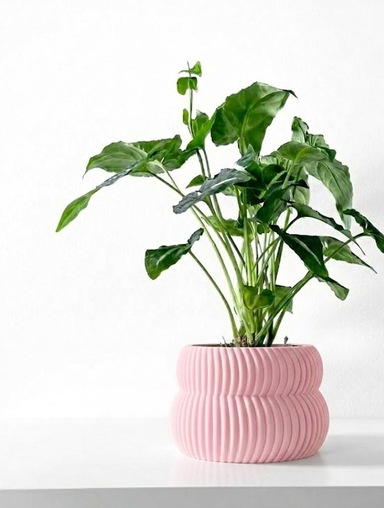 Quarn Pflanztopf – Weiche Konturen, starke Präsenz