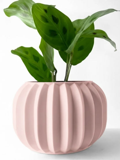 Olin 3D Pflanztopf – Minimalismus trifft auf geometrische Eleganz