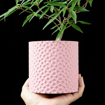 Ordan Planter Pot 3D– Geometrie trifft Natur