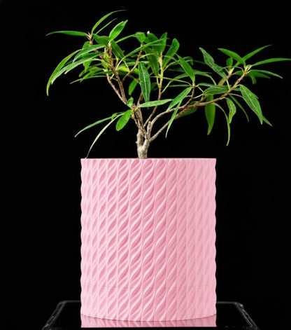 Flow Planter – Der spiraldynamische 3D-Pflanztopf