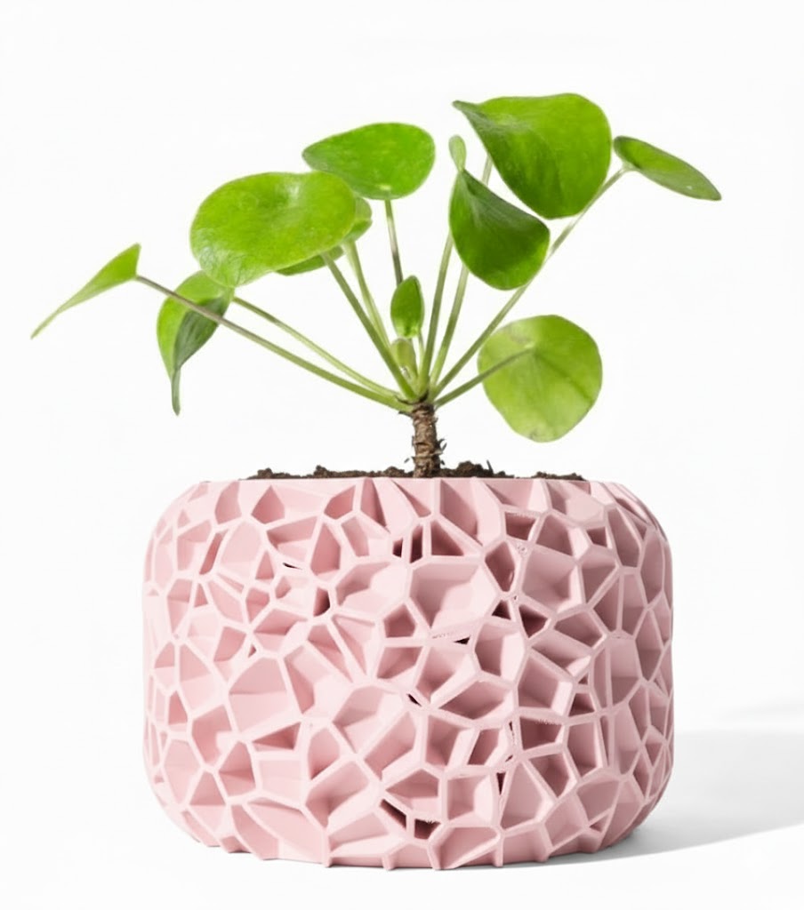 Der Vori – Organischer 3D-Pflanztopf im Voronoi-Look
