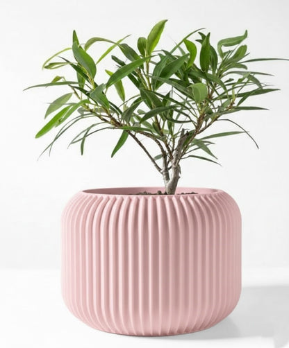 Der Unis – Zeitloser 3D-Pflanztopf mit rhythmischer Kontur