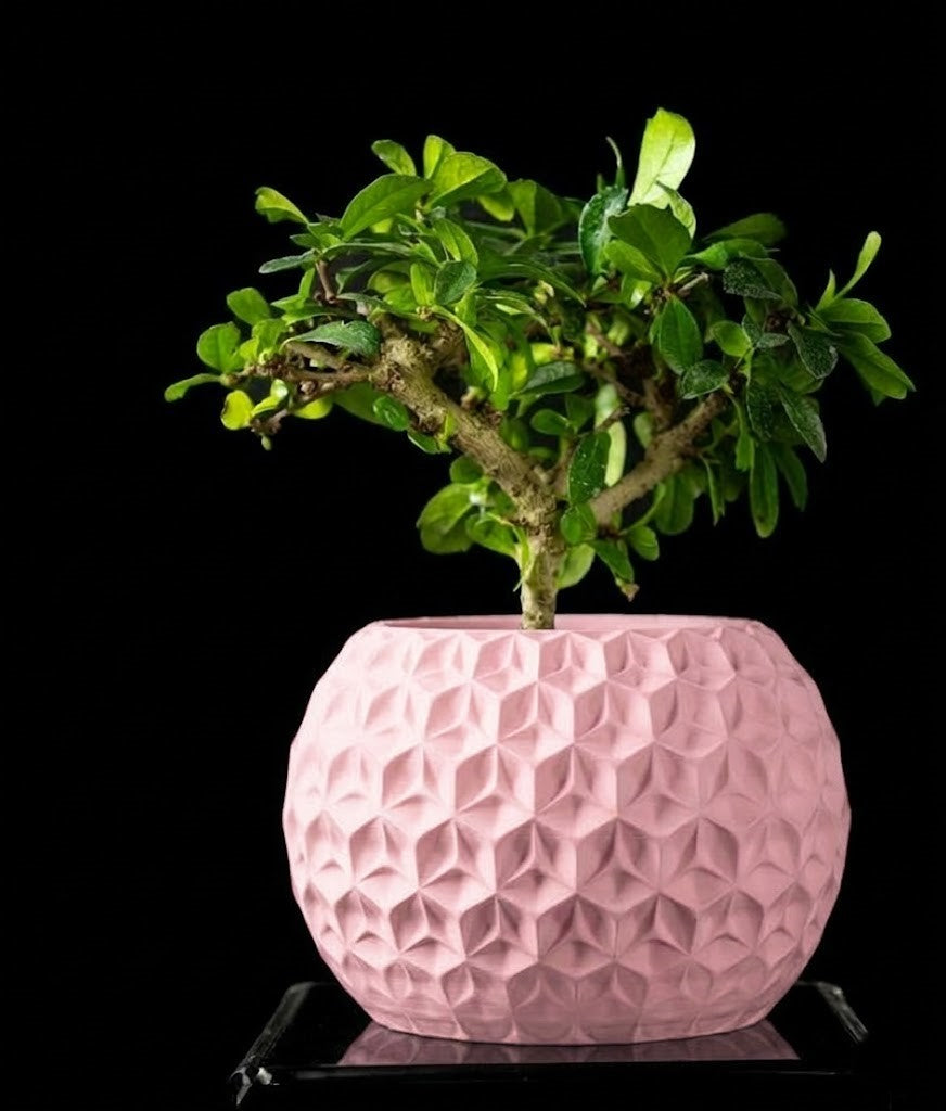 Trihex Pflanztopf – Geometrische Tiefe in 3D-Perfektion