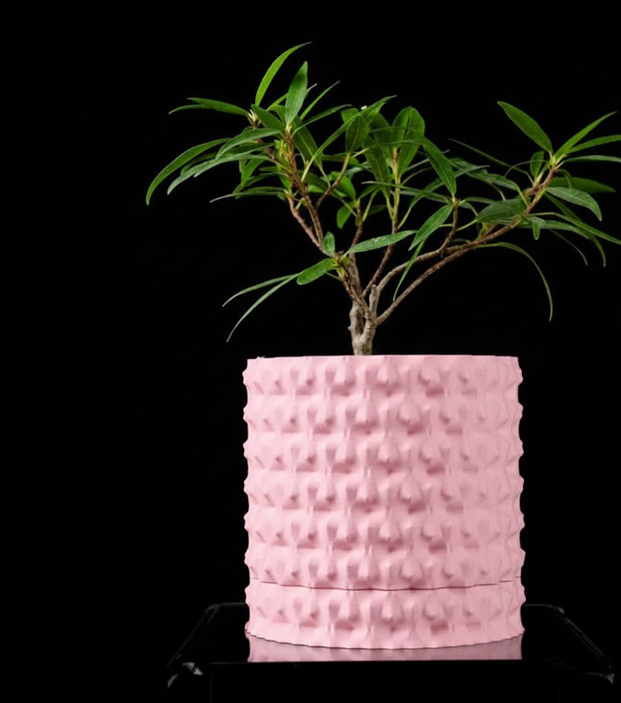Robuster – Der markante 3D-Pflanztopf für starke Akzente