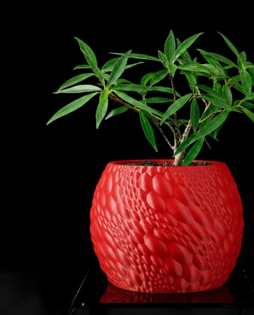 Gato Pflanztopf – Organisches 3D-Design für moderne Wohnräume