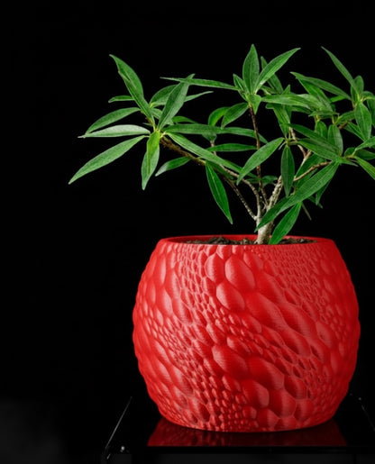 Gato Pflanztopf – Organisches 3D-Design für moderne Wohnräume