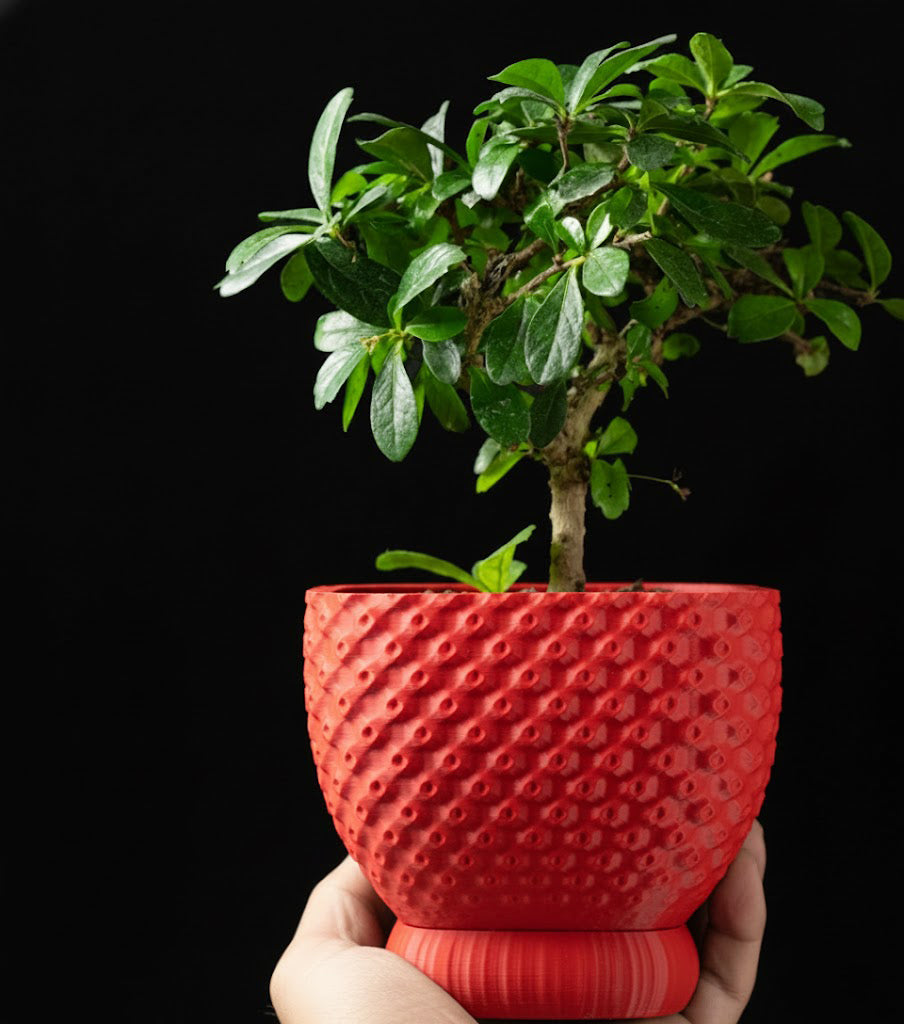 Connect Planter Pot – Strukturierte Eleganz im 3D-Design