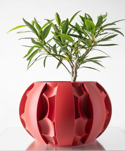 Der Erna – Skulpturale Eleganz trifft 3D-Pflanzenkultur