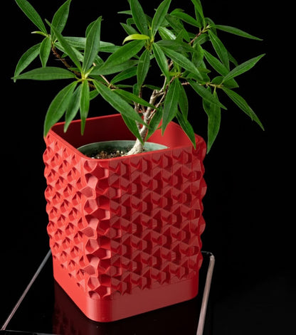 Rovi Square Planter Pot – Geometrie trifft Natur