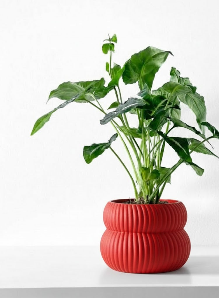 Quarn Pflanztopf – Weiche Konturen, starke Präsenz