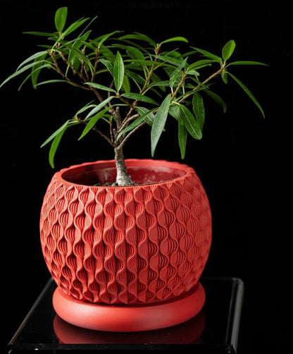 Bloom Planter – Der blüteninspirierte 3D-Pflanztopf mit organischer Struktur