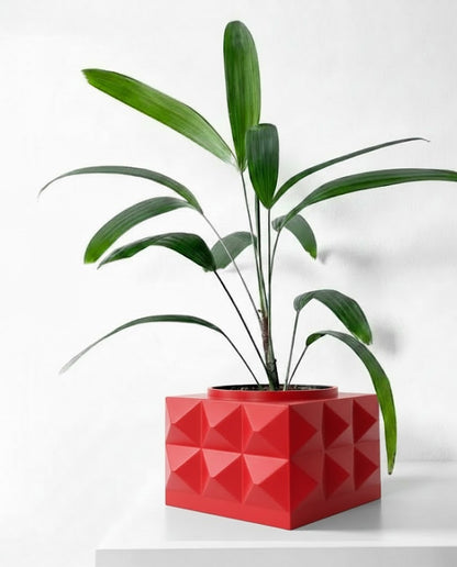 Eldan Pflanztopf – Geometrie mit Charakter