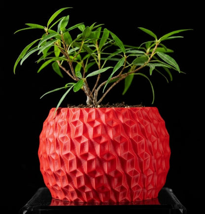 Hexa Planter Pot – 3D-Pflanztopf mit Facettenschliff