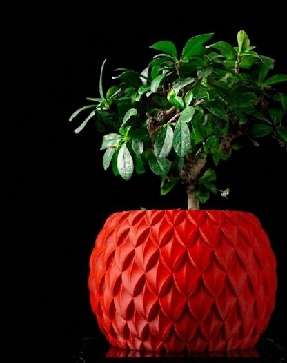 Scale – Der 3D Pflanztopf mit Schuppenstruktur und skulpturaler Eleganz