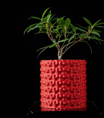 Robuster – Der markante 3D-Pflanztopf für starke Akzente