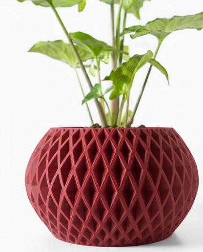 Gisar – Der 3D-Pflanztopf mit rautenstarker Präsenz