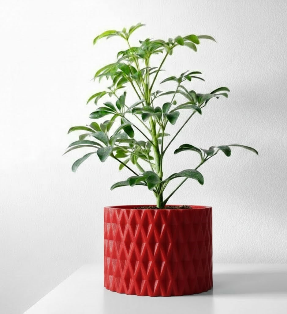 Grivan Pflanztopf – Geometrie trifft Eleganz