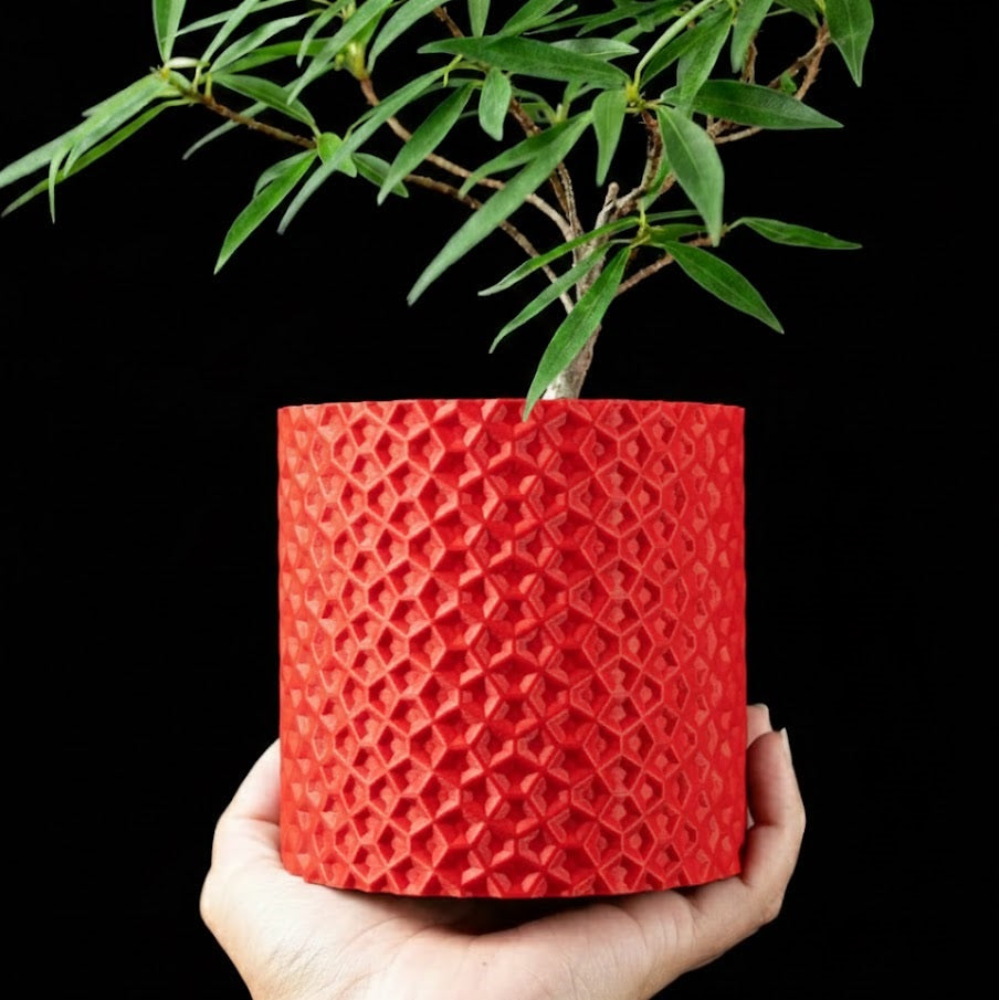 Ordan Planter Pot 3D– Geometrie trifft Natur