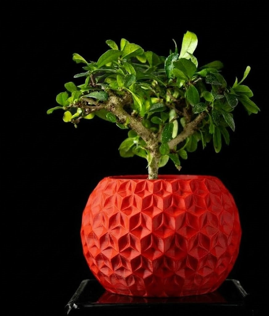 Trihex Pflanztopf – Geometrische Tiefe in 3D-Perfektion